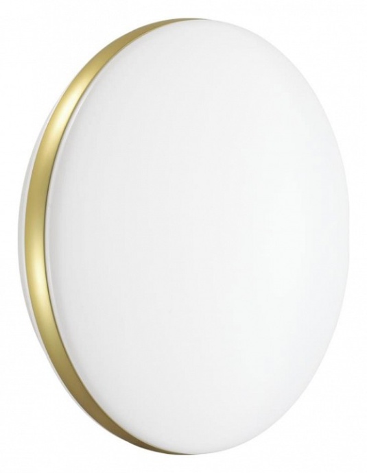 Настенно-потолочный светодиодный светильник Sonex Ringo 7626/EL - 3