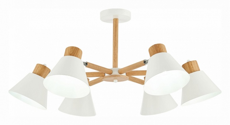 Люстра на штанге EVOLUCE Buve SLE103702-06 - 0