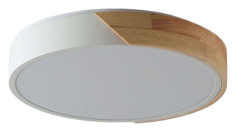 Накладной светильник Zortes ALBERRO ZRS.01289.48 - 0