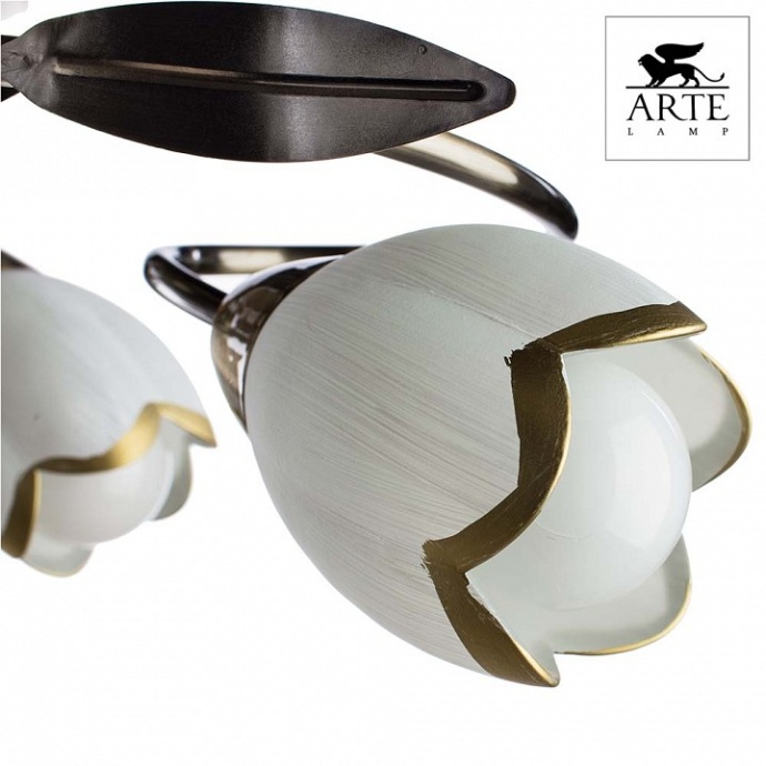 Потолочная люстра Arte Lamp 4 A6061PL-6AB - 2