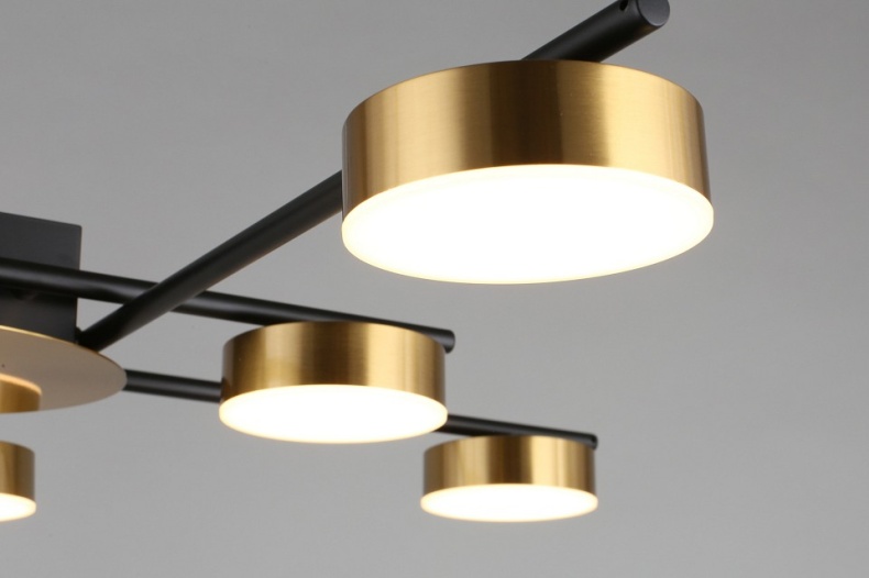 Потолочная люстра Aployt Delayn APL.042.07.56 - 6