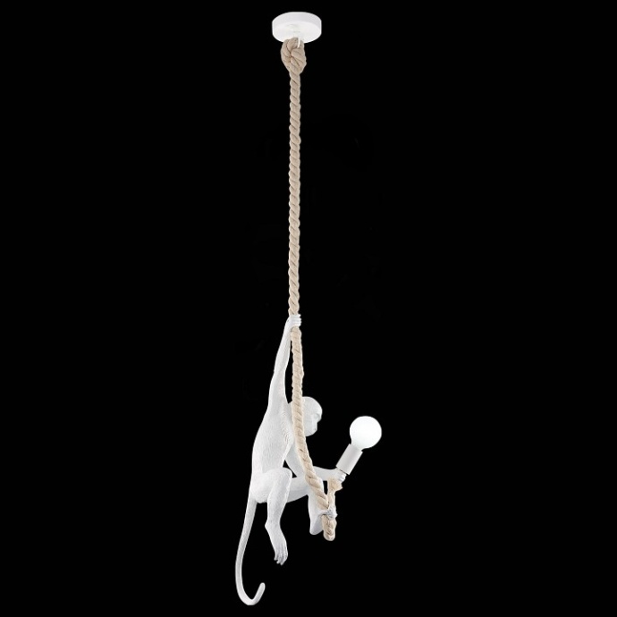 Подвесной светильник EVOLUCE Tenato SLE115103-01 - 1