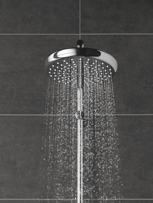 Верхний душ Grohe Tempesta 26409000 - 2