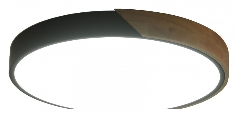 Накладной светильник Zortes ALBERRO ZRS.01287.36 - 1