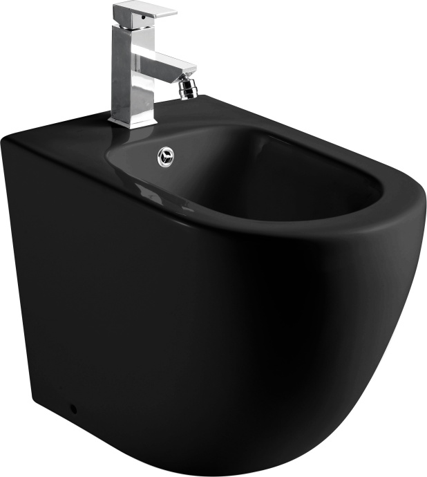 Биде напольное Weltwasser WW MERZBACH 003 MT-BL матовый черный  10000006095 - 0