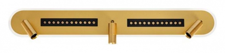 Спот Arte Lamp Pisces A2220PL-3GO - 0