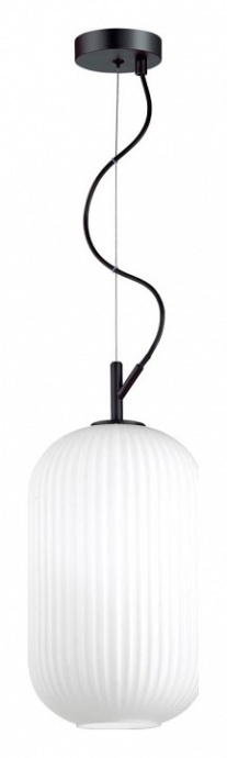 Подвесной светильник Odeon Light Pendant Roofi 4751/1 - 1