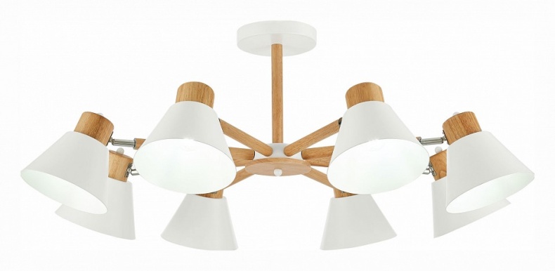 Люстра на штанге EVOLUCE Buve SLE103702-08 - 0