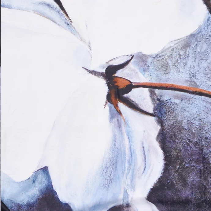 Штора для ванной Wasserkraft Ammer 180х200 рисунок черный SC-70102 - 4