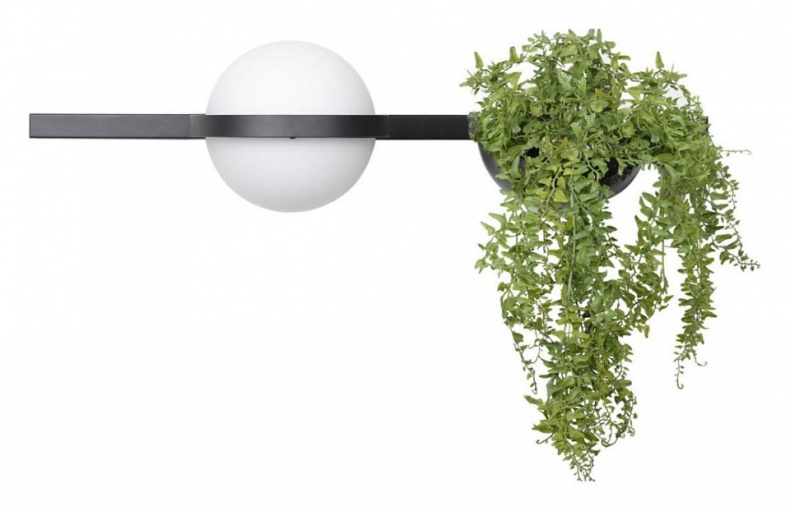 Настенный светильник LOFT IT Jardin 10121W/A - 0