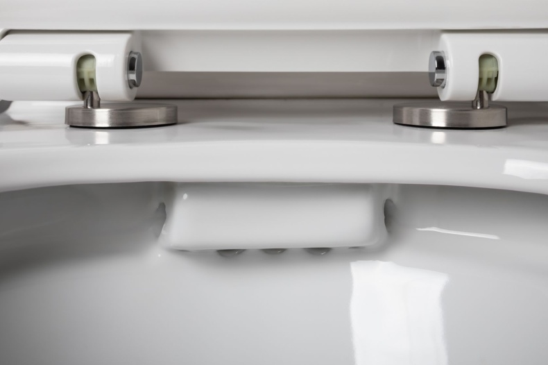 Чаша напольного унитаза Aquanet Rimless Logic-C CL-12339 240210 - 5