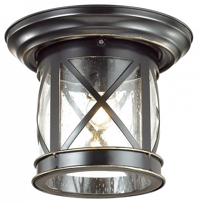 Уличный светильник Odeon Light Nature Sation 4045/1C - 1