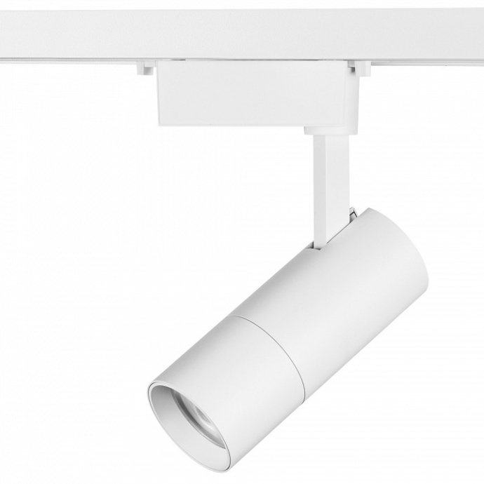 Светильник на штанге Lightstar Volta 229246 - 2