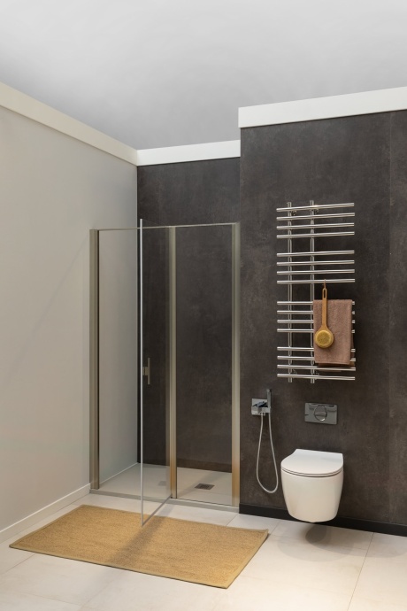 Душевая дверь в нишу Allen Brau Priority 3.31008.BA 120 - 2