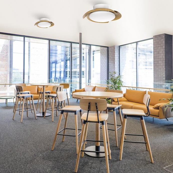 Светильник с вентилятором Mantra (люстры-вентиляторы) Aloha 8234 - 2