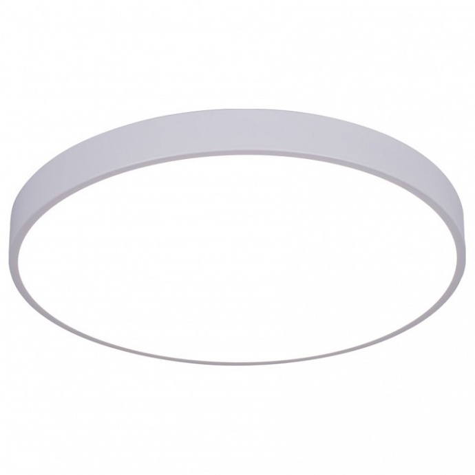 Потолочный светодиодный светильник Arte Lamp Arena A2670PL-1WH - 0