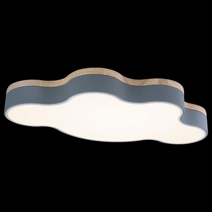 Накладной светильник Loft it Axel 4 10005/36 Grey - 3