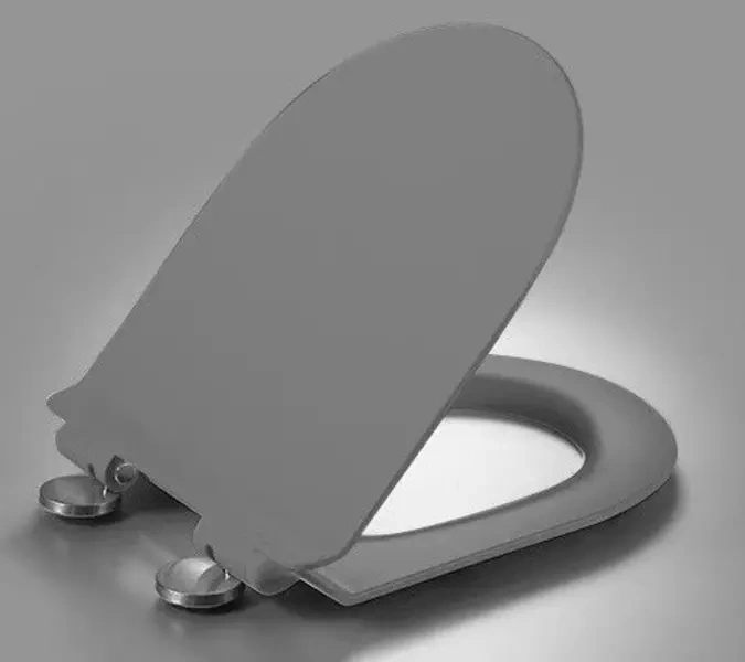 Сиденье для унитаза Esbano Garcia с системой микролифт, серый матовый  ZAESUPGARCGM3008 - 0