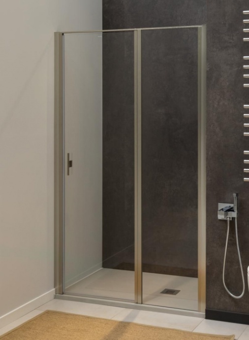 Душевая дверь в нишу Allen Brau Priority 3.31005.BA 100 - 1