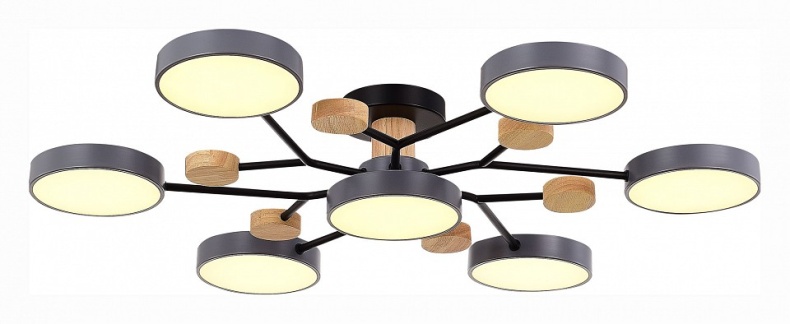 Потолочная люстра EVOLUCE Faema SLE6006-702-07 - 2