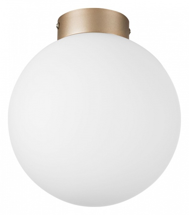 Накладной светильник Lightstar Globo 812023 - 0