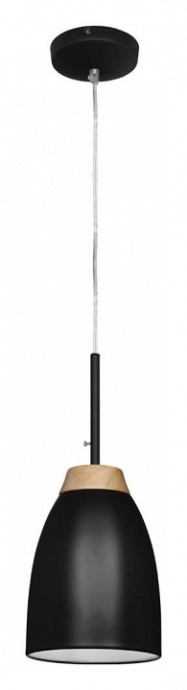 Подвесной светильник Loft IT Watchman Loft4402A-Bl - 1