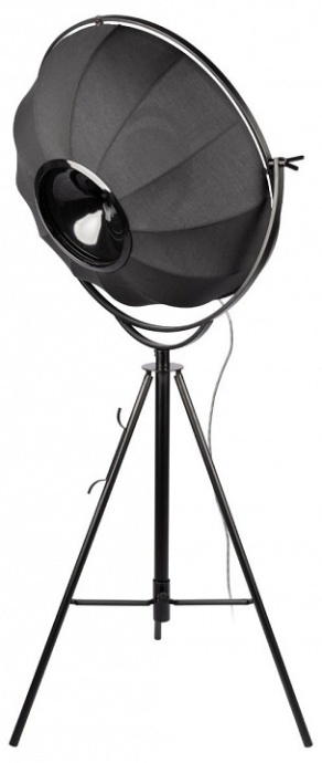 Торшер Loft it Studio 10301/M - 2