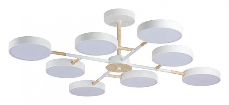 Люстра на штанге Lumion Brad 5653/99CL - 0