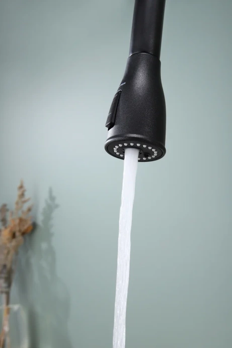 Смеситель для кухни Paulmark Lange черный матовый La214212-418 - 16