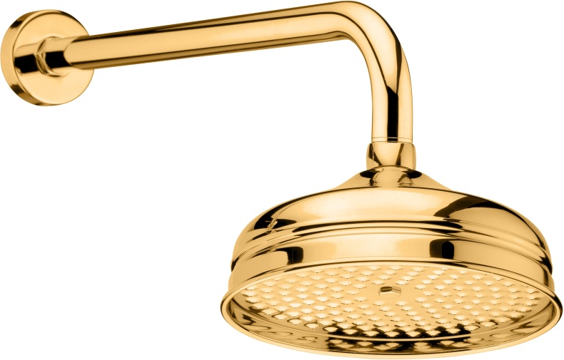 Верхний душ Webert Karenina AC0014010 золото - 0