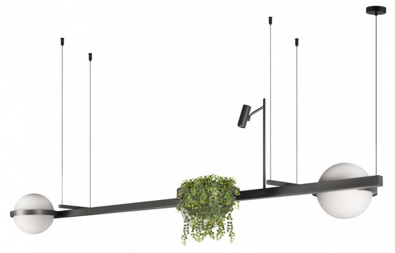 Подвесной светильник Loft it Jardin 10121/C Dark grey - 0