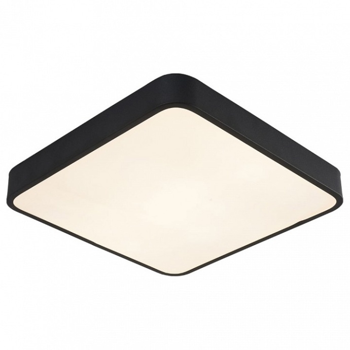 Потолочный светильник Arte Lamp A2663PL-1BK - 0