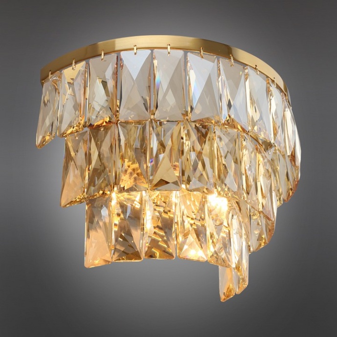 Накладной светильник Aployt Francheska APL.837.01.02 - 9