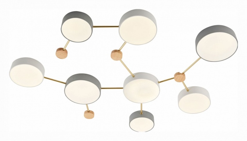 Накладной светильник EVOLUCE Dossena SLE600102-08 - 1