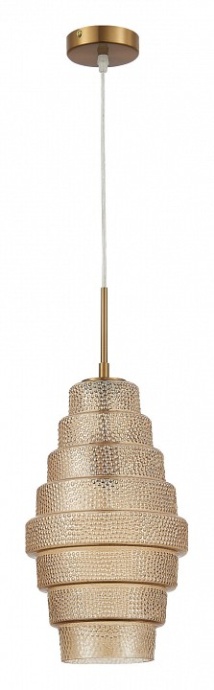 Подвесной светильник ST-Luce Rexite SL1001.203.01 - 1