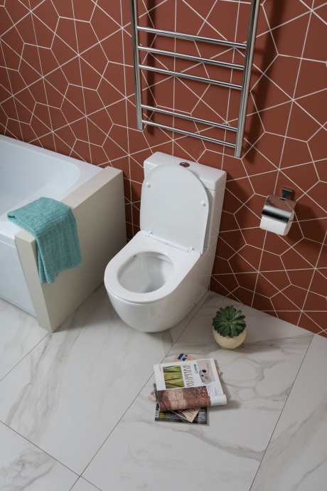 Cetus 2.0 C1 Чаша с сидением (Soft Close-SLIMSEAT) для унитаза напольного с Rimless (243538) - 4