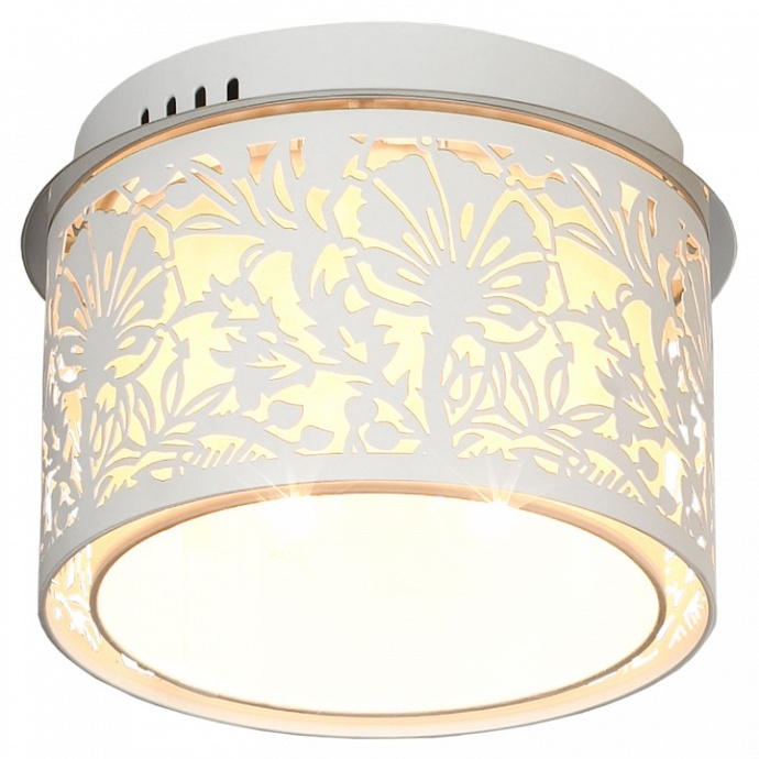 Накладной светильник Lussole Vetere GRLSF-2307-04 - 2