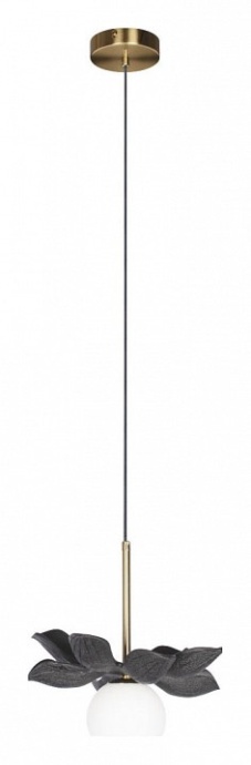 Подвесной светильник Loft it Monro 10213/B Black - 1