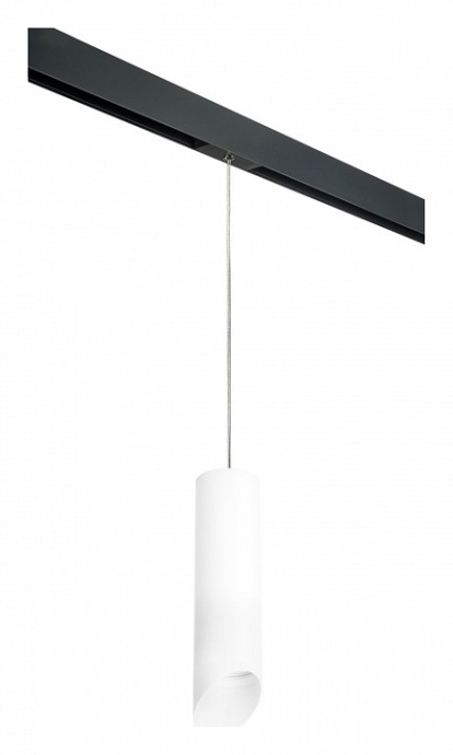 Подвесной светильник Lightstar Rullo PRORP649686 - 0