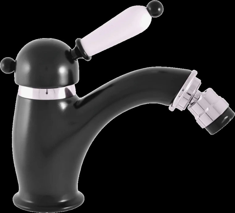 Смеситель для биде Rav Slezak Labe черный матовый - хром L545.5KCMATC - 0