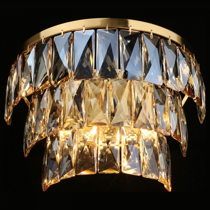 Накладной светильник Aployt Francheska APL.837.01.02 - 3