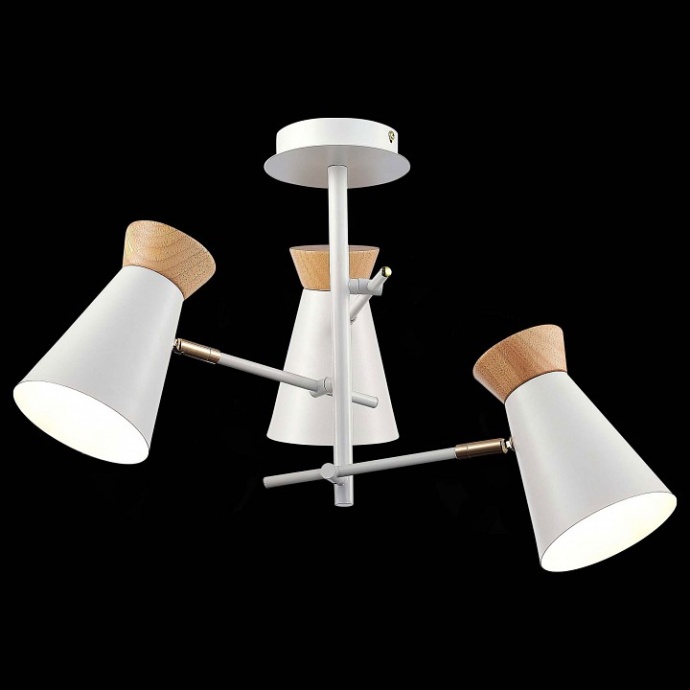 Потолочная люстра EVOLUCE Alfeo SLE1252-502-03 - 1