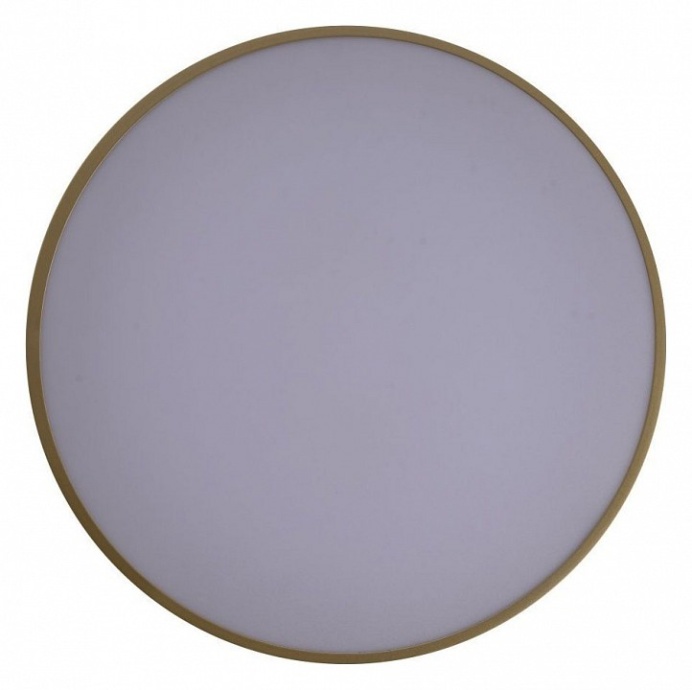 Накладной светильник Zortes Gabby ZRS.90610.40 - 3