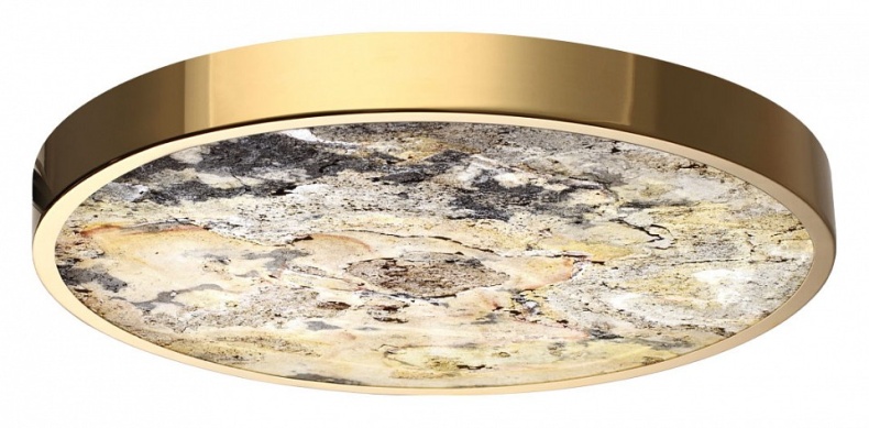 Накладной светильник Odeon Light Bergi 5079/40L - 5