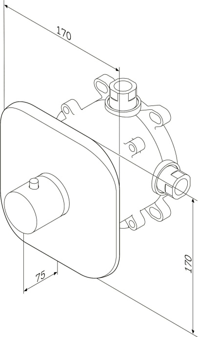 Термостат AM.PM Sensation F3075500 - 6