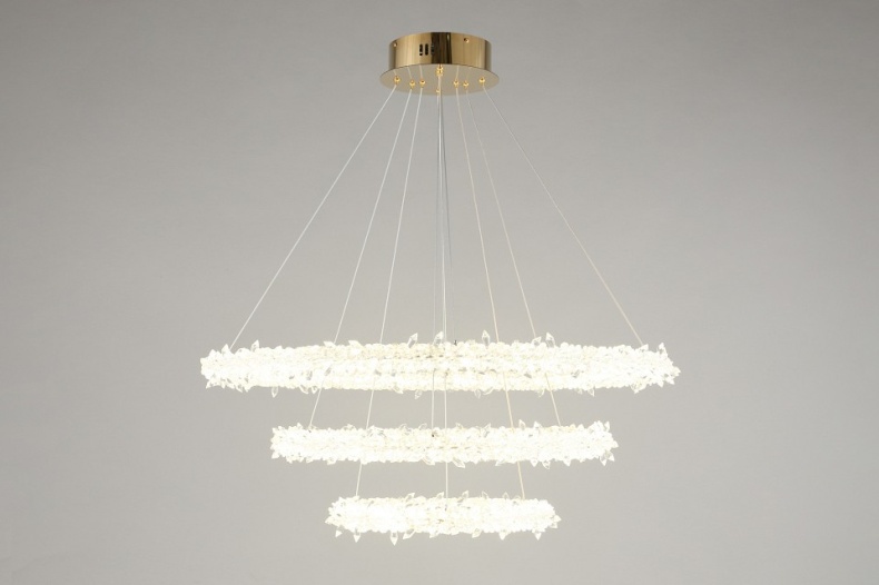 Подвесной светильник Aployt Merion APL.040.03.105 - 5