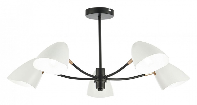 Люстра на штанге EVOLUCE Satta SLE103602-05 - 0