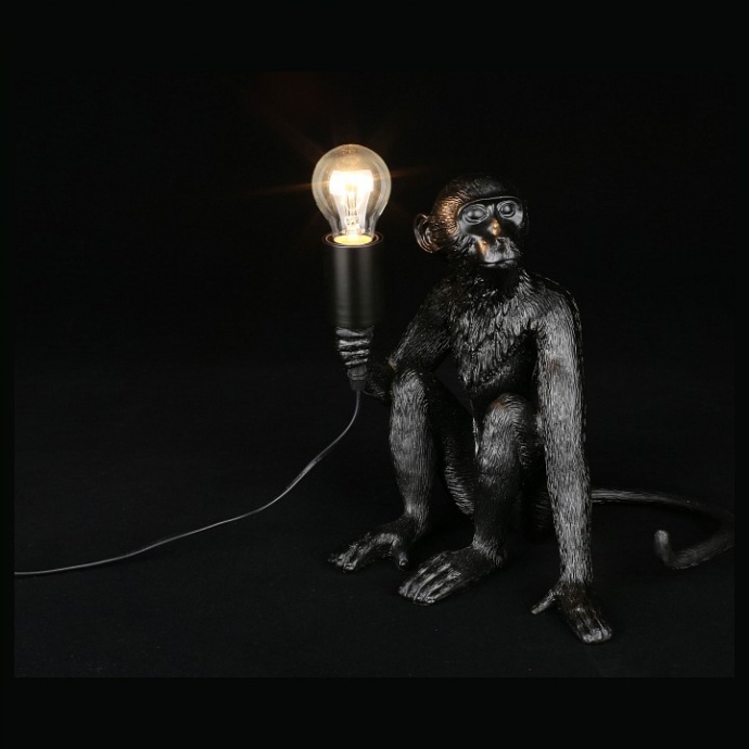 Зверь световой Aployt Magali APL.309.24.01 - 2