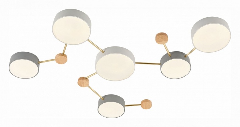 Накладной светильник EVOLUCE Dossena SLE600102-06 - 1