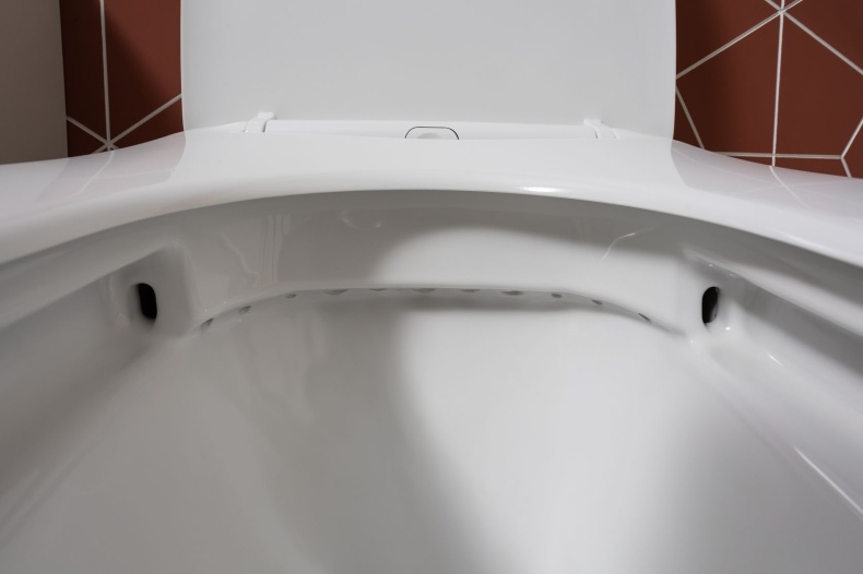 Cetus 2.0 C1 Чаша с сидением (Soft Close-SLIMSEAT) для унитаза напольного с Rimless (243538) - 7